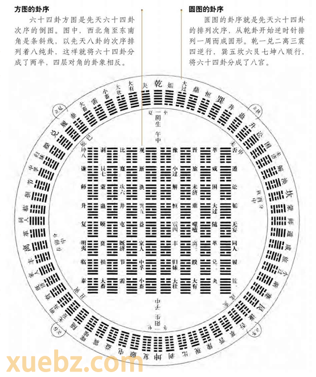 圆图或先天图