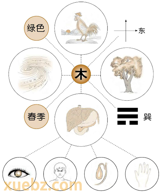 五行归类的两种方法