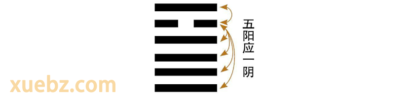 五阳应一阴：物以稀为贵