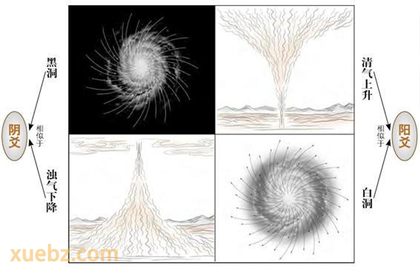 阴阳之气的运动趋势